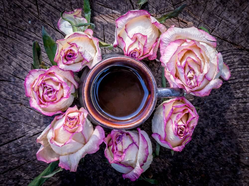 In-person shamanic ceremonies & healing circles